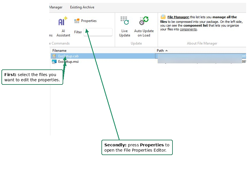File Manager in Paquet Builder showing the tree of files and folders included in a package